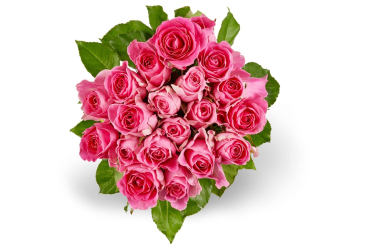 Miniroses Max Havelaar Roses - Florissimo (S. Antonino)