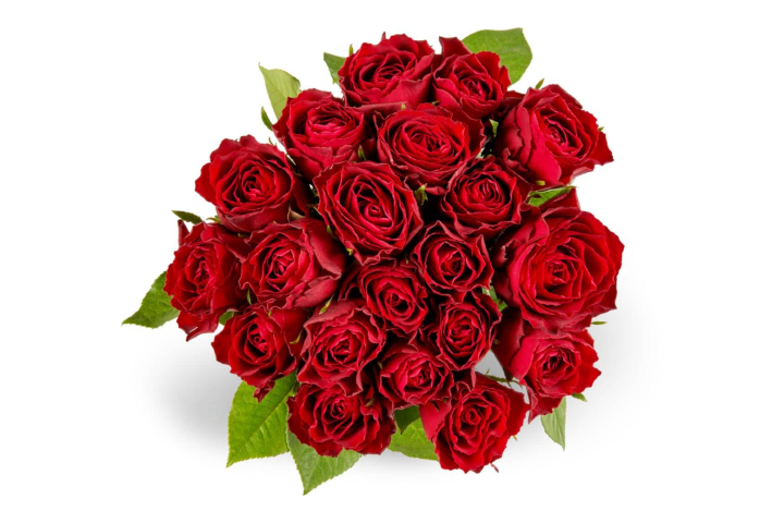 Miniroses Max Havelaar Rouges - Florissimo (S. Antonino)