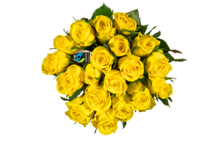 Miniroses Max Havelaar Jaunes - Florissimo (S. Antonino)