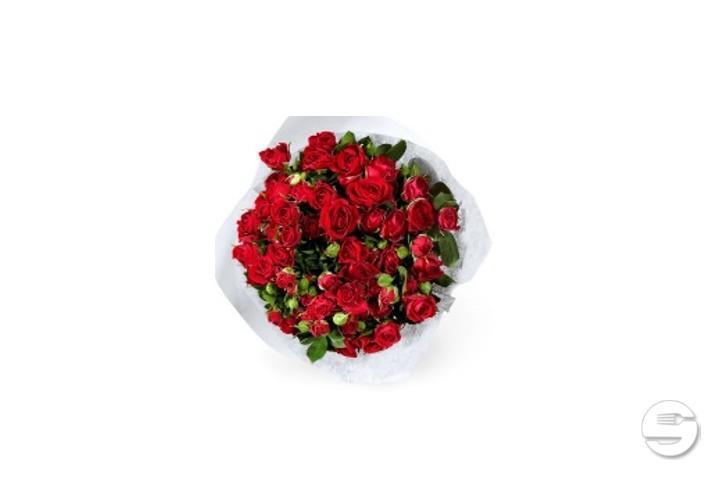 Minirose Spray Max Havelaar Red - Florissimo (S. Antonino)