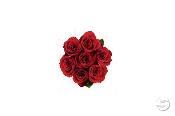 Rose Equador Max Havelaar Red - Florissimo (S. Antonino)