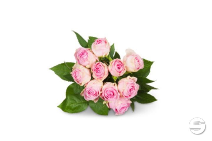 Rose Large 10 pieces 50cm - Florissimo (S. Antonino)