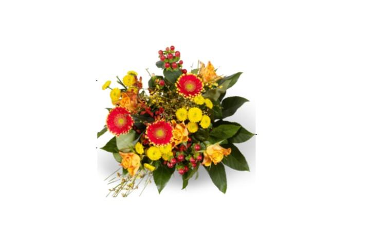Bqt misto - Florissimo (Locarno)