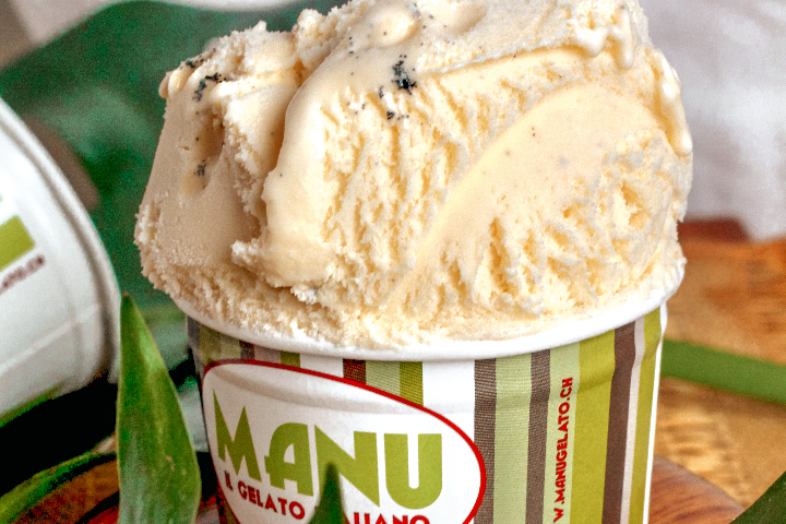 Vanilla Ice Cream - Manu Gelato