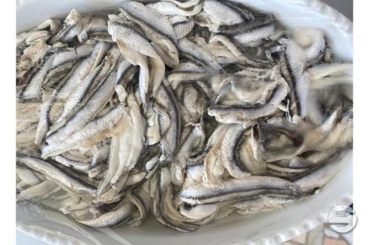 Marinated anchovies - Gastronomia La Svolta
