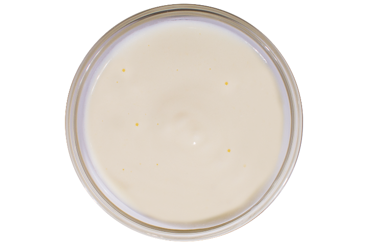 Sauce Gruyère Maison - The Tacos Factory
