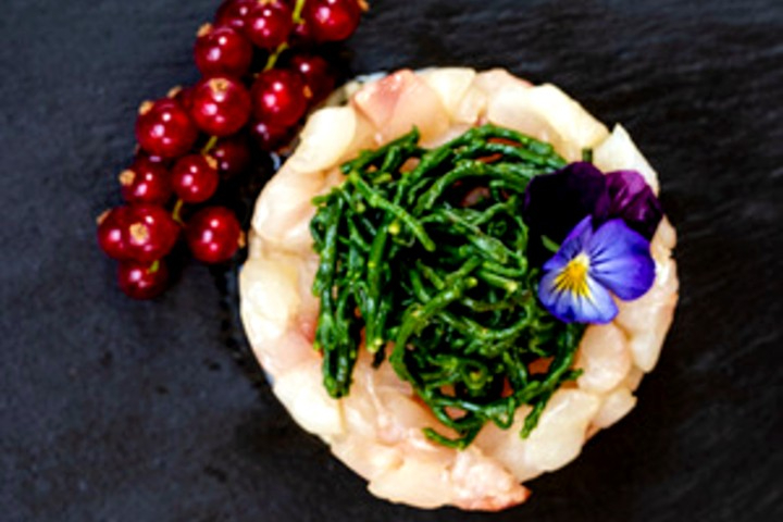 Sea bass Tartare - Maestri Pizza & More