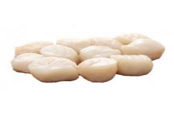 Noix de saint jacques 10-20 origine japon