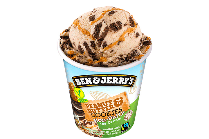 Ben & Jerry's Non-Dairy Peanut Butter & Cookies Vegan - FADA