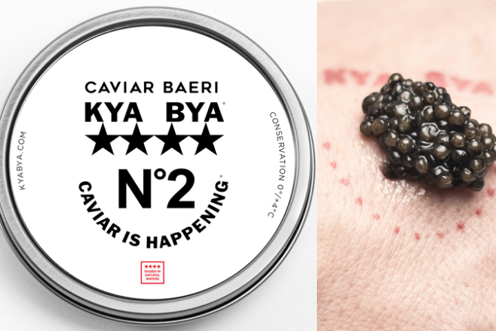 Siberian Sturgeon Baeri N°2 Black River, Uruguay - KYA BYA URBAN CAVIAR EXPRESS