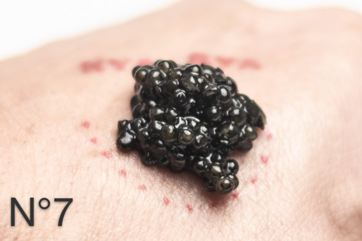 Siberian Sturgeon Baeri N°7 - Pearls of Selenga Origin: France - KYA BYA CAVIAR CLUB