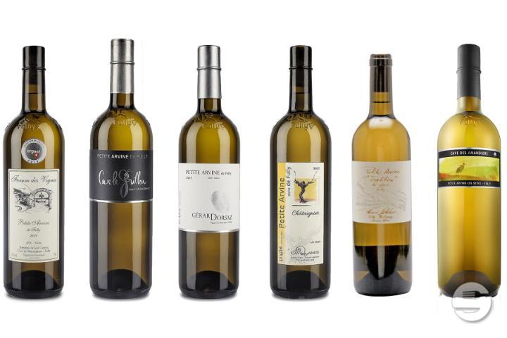 Domaine Coccinelles Bio - Pinte de Pierre-à-Bot