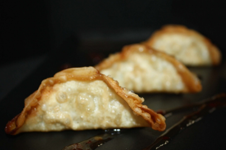 Fried Gyoza with Chicken - Le P'tit Exo