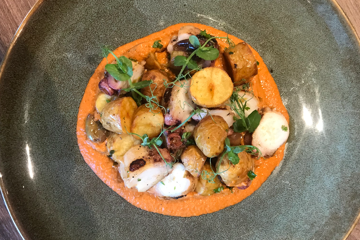 Salade de Poulpe Tiède - Nocino Pizzeria