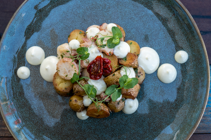 Warm Octopus Salad - Nocino Pizzeria