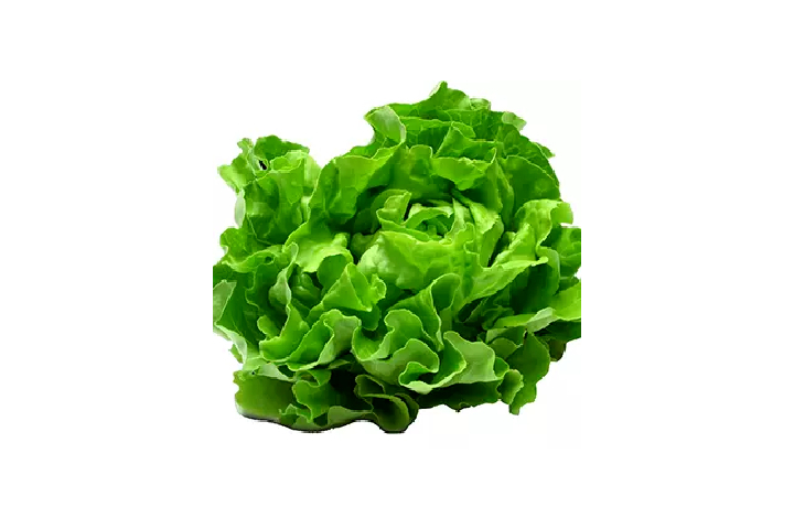 Viva Salad - Viva Pizza