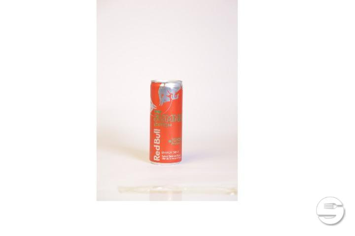 Red Bull Summer Edition - Speedy24