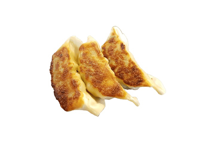 49. Gyoza - Oishii Zürich