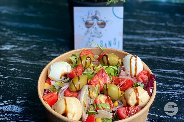 Protein - Sansi