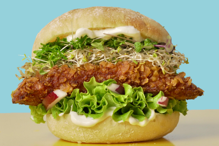 Chicken Burger Crrsp - Crrsp