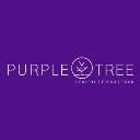 Logo Brand Purple Tree
