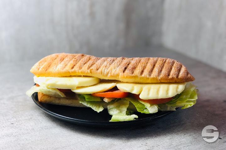 Panini - Tacos Plus