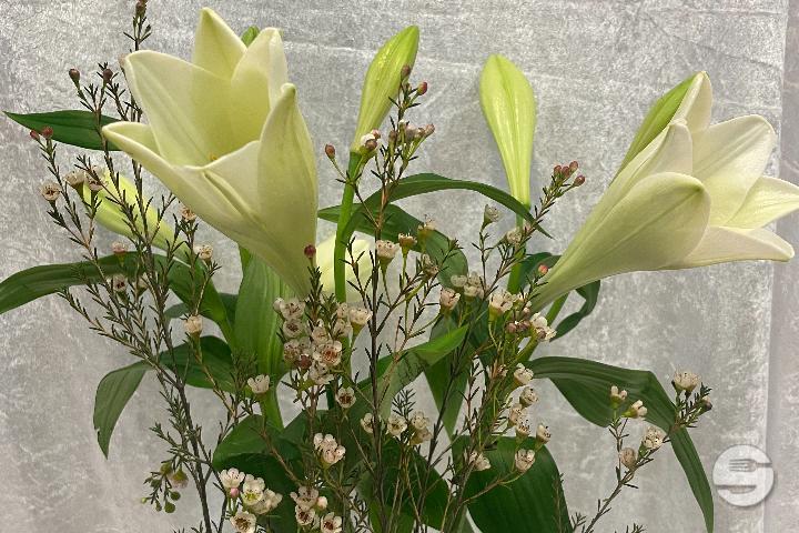 Bouquet de 3 Lys blancs avec garniture - Sylna Fleurs
