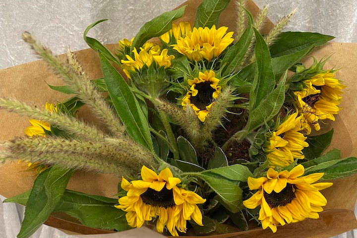 Bouquet de 10 Tournesols 🌻 - Sylna Fleurs