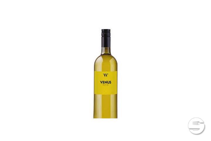 WEINSTERN. VENUS. PINOT GRIS, WETTINGEN. - Müli