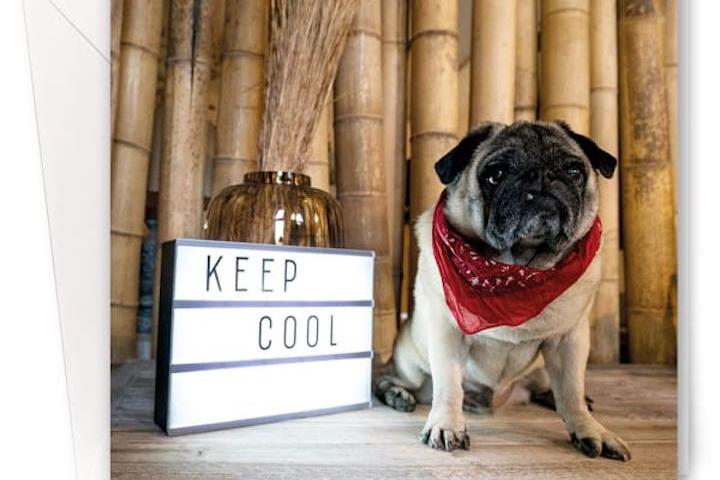 Keep Cool - Simeoni Fleurs