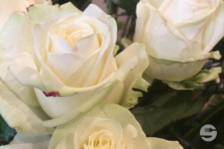 White Roses - Atelier Végétal