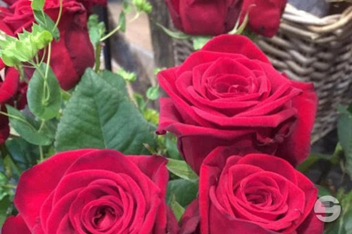 Red Roses - Atelier Végétal