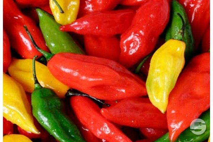 Piment Coloré Fort Pour Ceviche Aji Limo - Latin'Hall Epicerie Latino Américaine