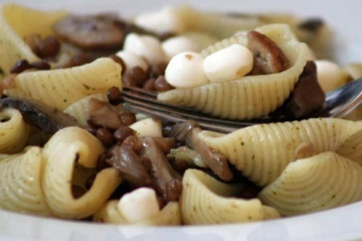 Conchiglie avec Champignons - Donna Rosa