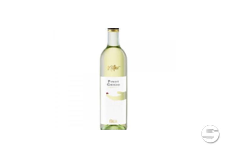 Pinot Grigio 50 cl white - Akshara Take Away