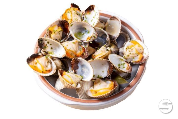 Carpet Shell - Café du Centre - Fruits de Mer