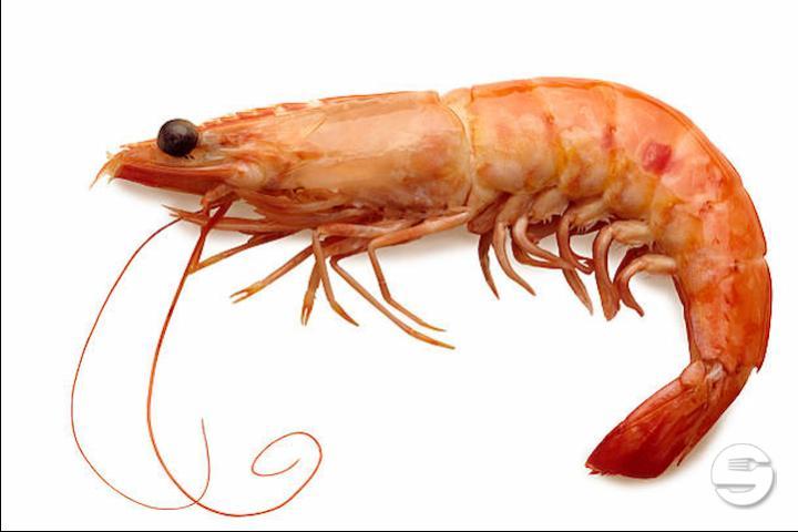 Les Crevettes Bio - Pesca Rouge