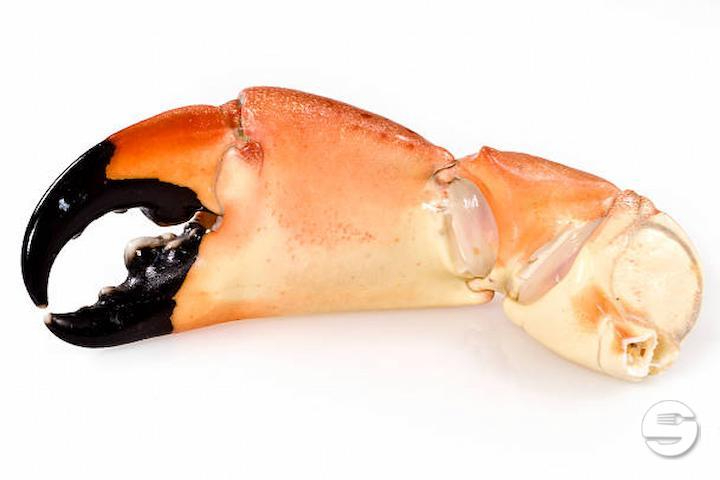 Les Pinces de Crabes - Pesca Rouge