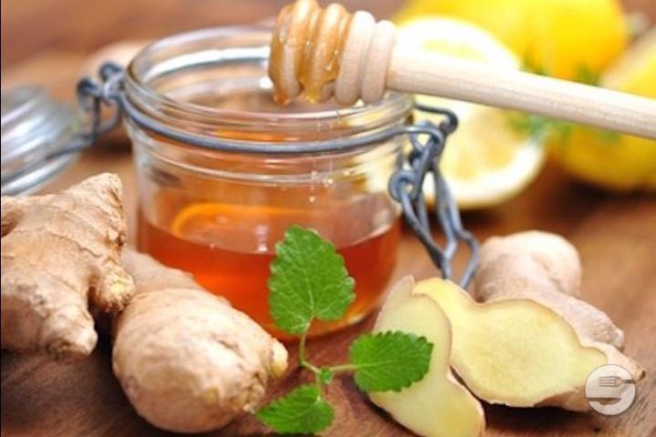 OliMy Honey Ginger - OliMy Yverdon