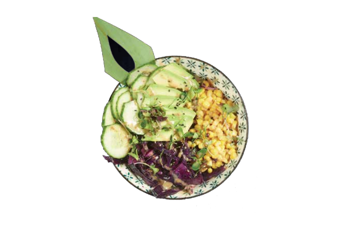 Poke Waikiki Veg - Level Sushi Zug