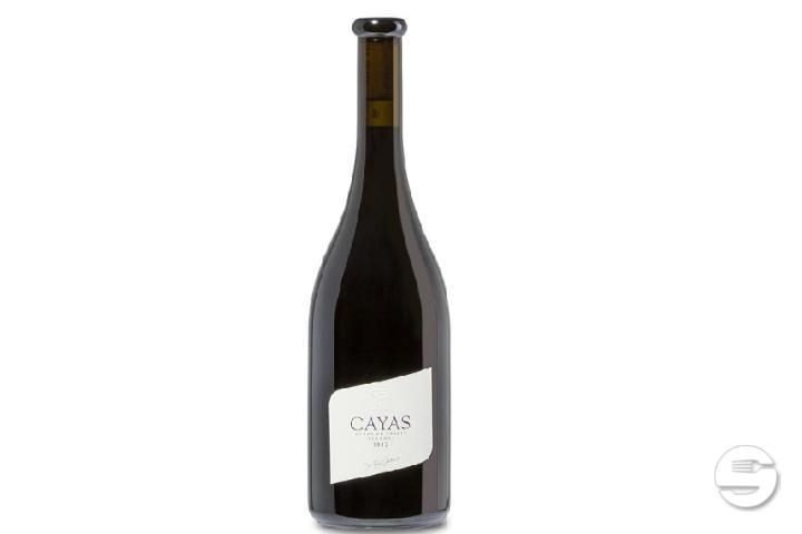 Jean-Rene Germanier Cayas Syrah Fut