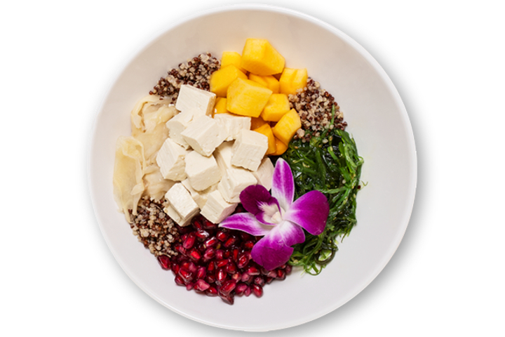 Signature Bowl Bad Fisherman - Regular - Ona Poké