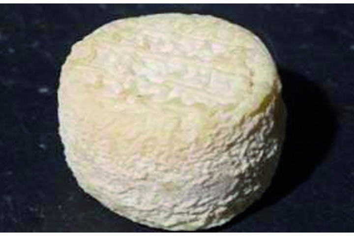 Crottin d'Aubonne with Raw Milk - Fromages Duttweiler - Mon Apéro