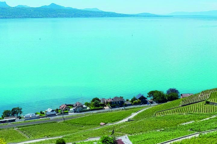 Autour du Lac - Edition limitée Bières - Mon Apéro