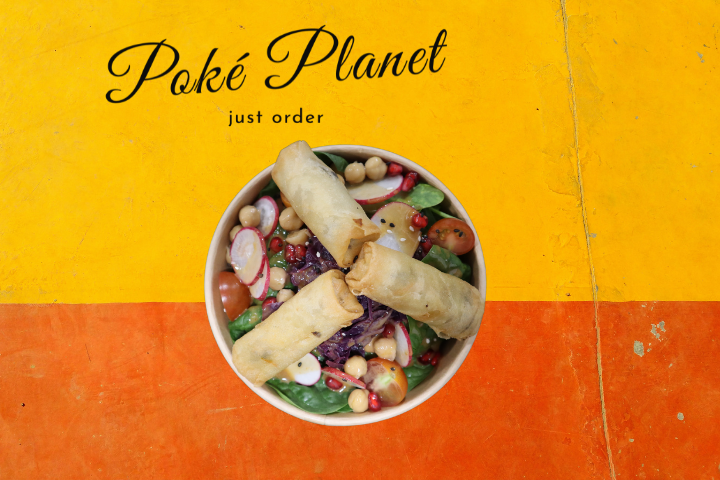 Poke Bowl Springrolls - Poke Planet - Bern