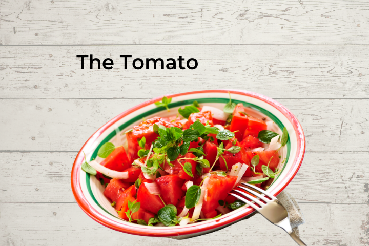 Tomato Salad - Pita House - Bern