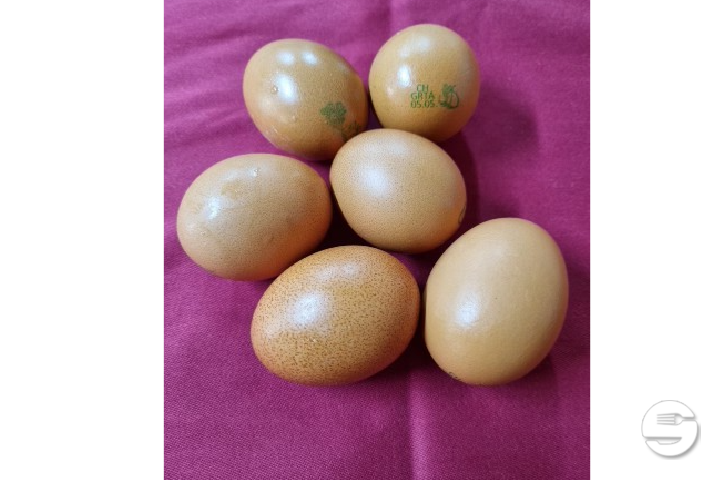 GRTA Eggs from Soral - Cave Valaisanne