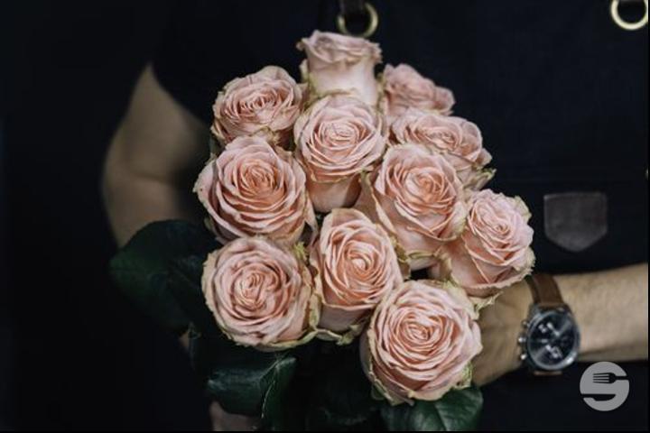 Bouquet of Pastel Roses - Jungle Pop