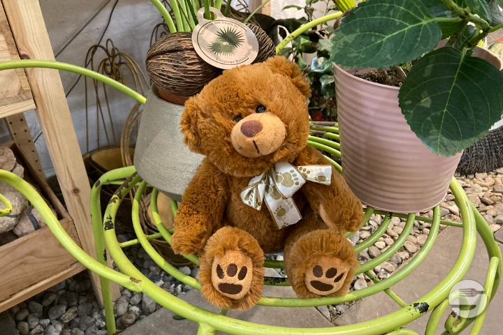 Brown Teddy Bear - Thalie Fleurs