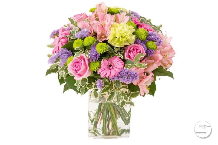 Aquarelle - Thalie Fleurs